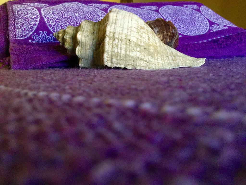 Pousada Kite Guajiru Itarema Buitenkant foto